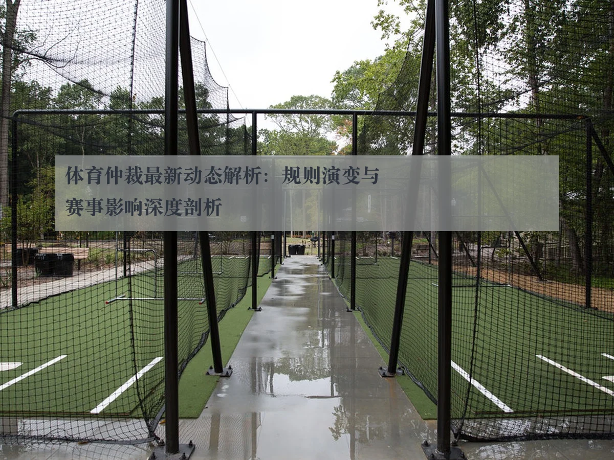 体育仲裁最新动态解析:规则演变与赛事影响深度剖析